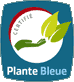 Plante Bleue