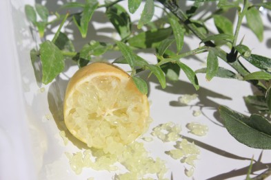 Citrus Microcitrus Australasica &quot;Caviar&quot;