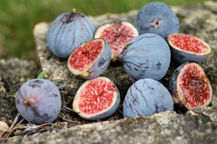 Figues